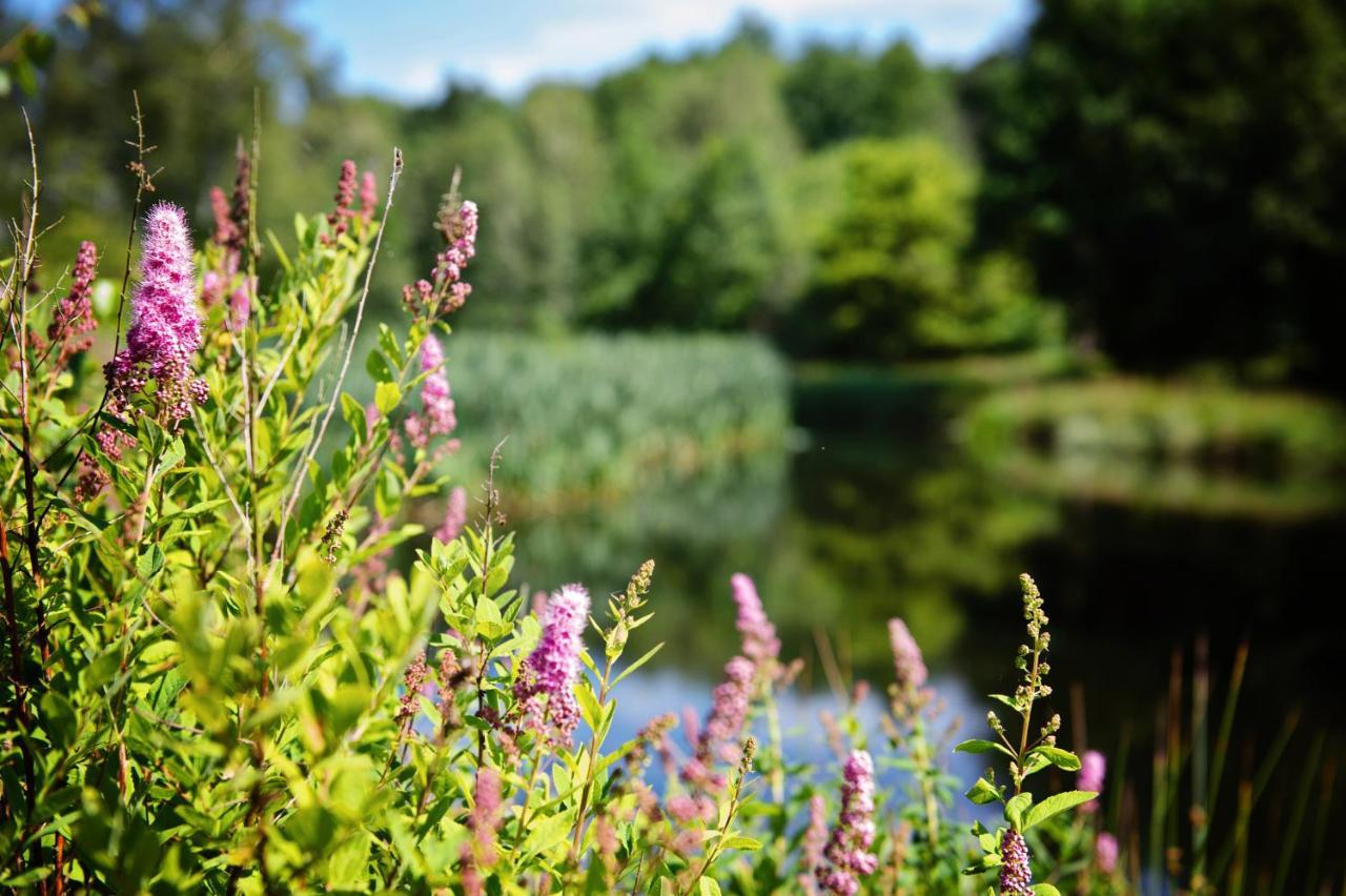 Ferienparadies Muehlenbach Soltau Exteriér fotografie