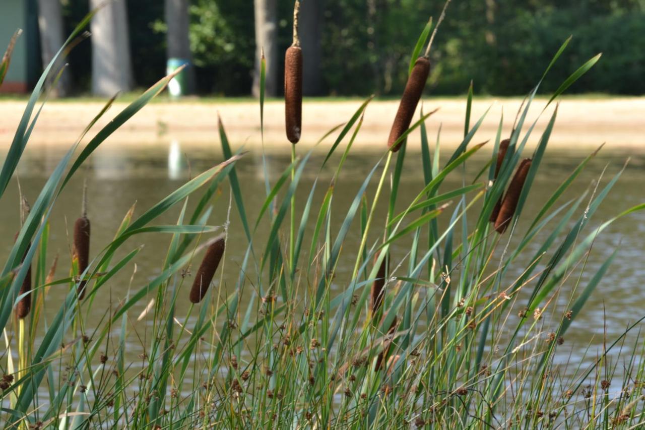 Ferienparadies Muehlenbach Soltau Exteriér fotografie